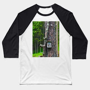 Birdhouse on Tree Baseball T-Shirt